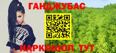 стаф Малгобек